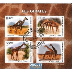 Girafes