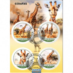 Girafes