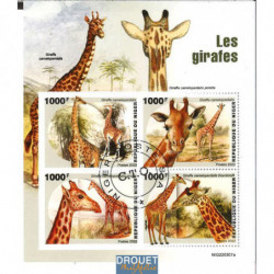 Girafes