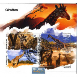 Girafes